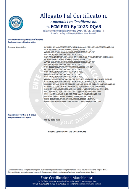 69725-ECM PED‐Bp 2025‐DQ68_01